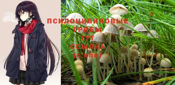 мет Балахна