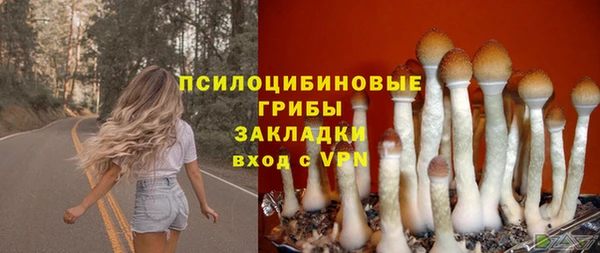 ПСИЛОЦИБИНОВЫЕ ГРИБЫ Баксан