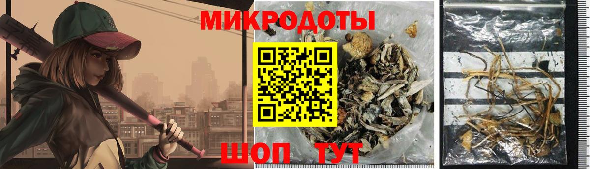 Псилоцибиновые грибы GOLDEN TEACHER  Вход с VPN  Каспийск  Псилоцибиновые грибы мицелий 